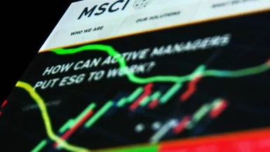 مؤشر إم إس سي آي للأسواق الناشئة ؛ الأسواق الناشئة